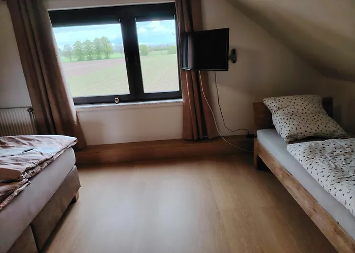 Brini's Im Gruenen *